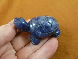 (Y-TUR-LAO-702) blue Sodalite TURTLE tortoise carving FIGURINE gemstone turtles - £14.05 GBP