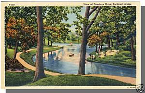 Primary image for PORTLAND, MAINE/ME POSTCARD, View At Deerings Oaks