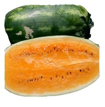 10 Tendersweet Orange Watermelon Seeds Very Sweet Nongmo Heirloom - £6.57 GBP