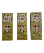 Hokkaido Japanese Melon Caramel Candy - Dounan Melon Caramel 18 Pieces ×... - $13.81