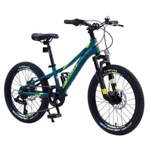 Mountain Bike for Girls and Boys  Mountain 20 inch shimano 7-Speed bike - $311.99