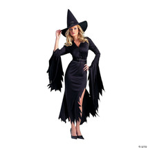 Gothic witch adult md/lg - $52.49