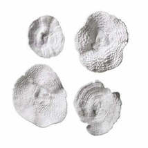 Uttermost Sea Coral Wall Art Set of 4 - £298.96 GBP