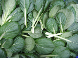 300+ Seeds Tatsoi Tah Tsai Spoon Mustard Spinach Mustard Rosette Bok Choy Fresh  - $6.38