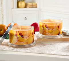 HomeWorx by Slatkin &amp; Co.  Sparkling Honey Sangria 18oz Candle  5%  USED - £153.26 GBP