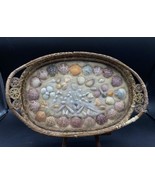 Florida Beach Decor Beautiful Handled Shell Art &amp; Wicker Vanity Tray READ - $423.28 MXN