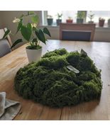 Artificial Dark Green Sheet Moss, 5.3 oz (150 g), Covers up to 11.8 x 70... - $245.43 MXN