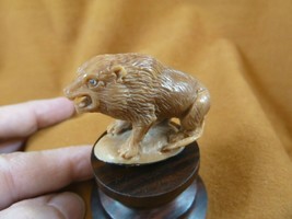 (tb-lion-1) roaring male Lion Tagua NUT palm figurine Bali love lions - $46.98
