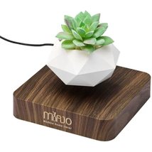 Floating Planter, Levitating Pot Plant: Elevate Your Plants in Style! - £51.89 GBP+