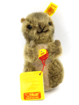 VINTAGE STEIFF MOLLY PIFF MARMOT PLUSH MOHAIR EXCELLENT 5.5” W/ PIN &amp; TAG - £38.88 GBP