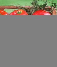 60+ Ace 55 Tomato Seeds Heirloom Non Gmo Fresh New - £7.08 GBP