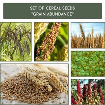 Complete Cereal Seed Collection &#39;Grain Abundance&#39; - Heirloom Grains Set, Sustain - £17.53 GBP