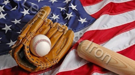 Baseball Lovers Design Vinyl Checkbook Cover Baseball Glove Bat - $8.75