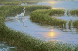 Lee Kromschroeder Evening Solitude White Egret Master Artisan Canvas Ltd Ed S/N - £786.12 GBP