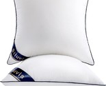 Two Decorative 16-Inch Square Pillow Inserts From Siluvia, Measuring 16 ... - $35.98