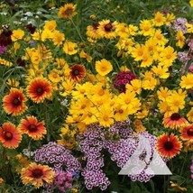 FA Store 500 Seeds Wildflower Mix Knee-High Heirloom Flowers Butterflies - £7.89 GBP