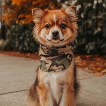 Tubular Dog Bandana, Dog Neck Gaiter, Dog Ear Protection Camouflage Flag 5 Pack - $21.29