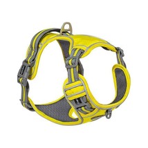 Explosive Red Adventure Dog Harness - Ultimate Safety And Comfort For Large Dogs - £17.64 GBP+