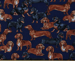 Dachshunds Dogs Puppies Puppy Toss Animal Navy Cotton Fabric Print D779.43 - $12.95