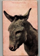 Antique Postcard 1908 Donkey Face Animal Posted 5.5 x 3.5 - $26.98