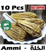 Natural Ammi Visnaga Khella Moroccan Herb Dried Organic Toothpick X10 عش... - £12.41 GBP