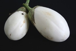 Guashi Store Wonder Eggs Eggplant White Wonder 25 Seeds - £6.72 GBP