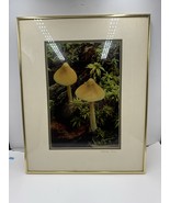 Vintage Picture of Mushroom Twins Jack Carman Framed 20x16 Wall Decor Art - $54.44