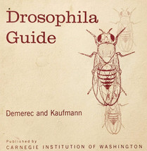 1972 Drosophila Guide Fruit Flies Insects Entomology PB Illustrated Vint... - $29.99
