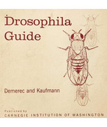 1972 Drosophila Guide Fruit Flies Insects Entomology PB Illustrated Vint... - $29.99