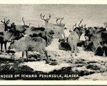 Reindeer on Seward Peninsula AK Alaska UNP Greycraft Postcard C17 - $16.34