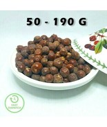 Moroccan Organic Nerprun Buckthorn Rhamnus Dried Seeds Natural Pure النبگ النبق - $9.89 - $24.74