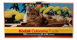 Vintage RoseArt Kodak Colorama CAT 700 Piece Jigsaw Puzzle #55555 13&quot; x 39&quot; - $375.01 MXN