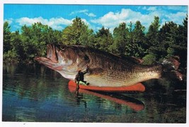 Comic Postcard Big Lie Big One Got Away Fish Canoe - $1.97