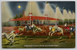 Greyhounds Taking a Hurdle at a Florida Track at Night Dogs Postcard E24 - £7.74 GBP