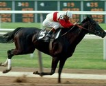 RUFFIAN 8X10 PHOTO HORSE RACING PICTURE JOCKEY ACTION WIDE BORDER - $4.94