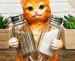 Ebros Orange Tabby Kitty Cat Hugging Spice Salt Pepper Shakers Holder 8.... - $24.95