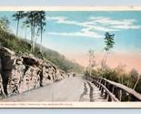 The Mohawk Trail Through the Berkshire Hills Massachusetts UNP WB Postca... - $2.92