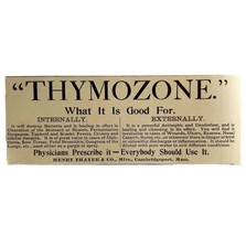 Thayer&#39;s Thymozone Medical 1894 Advertisement Victorian Medical ADBN1hh - £7.71 GBP