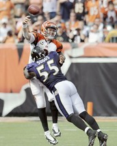 Terrell Suggs 8X10 Photo Baltimore Ravens Picture Nfl Vs Bengals - £3.94 GBP