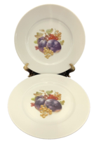 Western Germany JKW Fine Porcelain Fruit Plates Lot of Two Grapes Purple Plums - £21.71 GBP