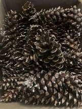 Lot of 100 Pinecones 5-7&quot; Large Eastern White Pine Christmas Crafts Wreaths - £18.92 GBP