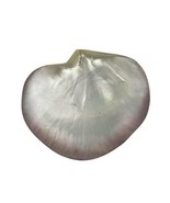 Large Mother of Pearl Ocean Seashell Caviar Dish  5.5&quot; Wide - $69.95 CAD
