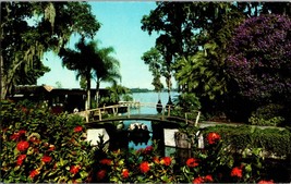Regal Purple Splendor Tibouchina Cypress Gardens Florida  Vintage Postcard  (D7) - £3.85 GBP
