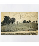 1911 Walnut Hall Stock Farm Lexington Kentucky Postcard Horse Breeding H... - $10.37 CAD