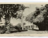 Botanical Gardens Photo Postcard Montserrat British West Indies 1930&#39;s - £14.32 GBP