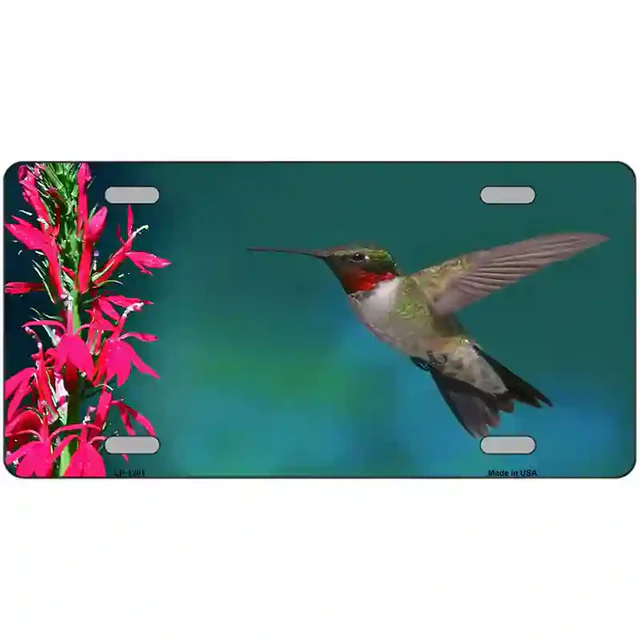 Humming Bird Novelty Metal License Plate - 6&quot; x 12&quot; - $13.70 CAD