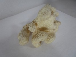 White Ocean Coral Cluster - 5&quot; X 3.5&quot; X 3&quot; - £15.49 GBP