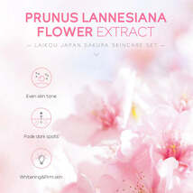 Moisturizing Face Cream Skin Care Kit – Sakura Infused - $8.00