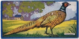 Cowan Co Toronto Card Pheasant Canadian Bird Series - $9.89