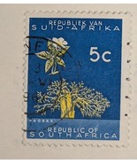 South Africa - 1969 - 5¢ - Definitive Issue - Baobob Tree - #18180 SC#31... - $1.09